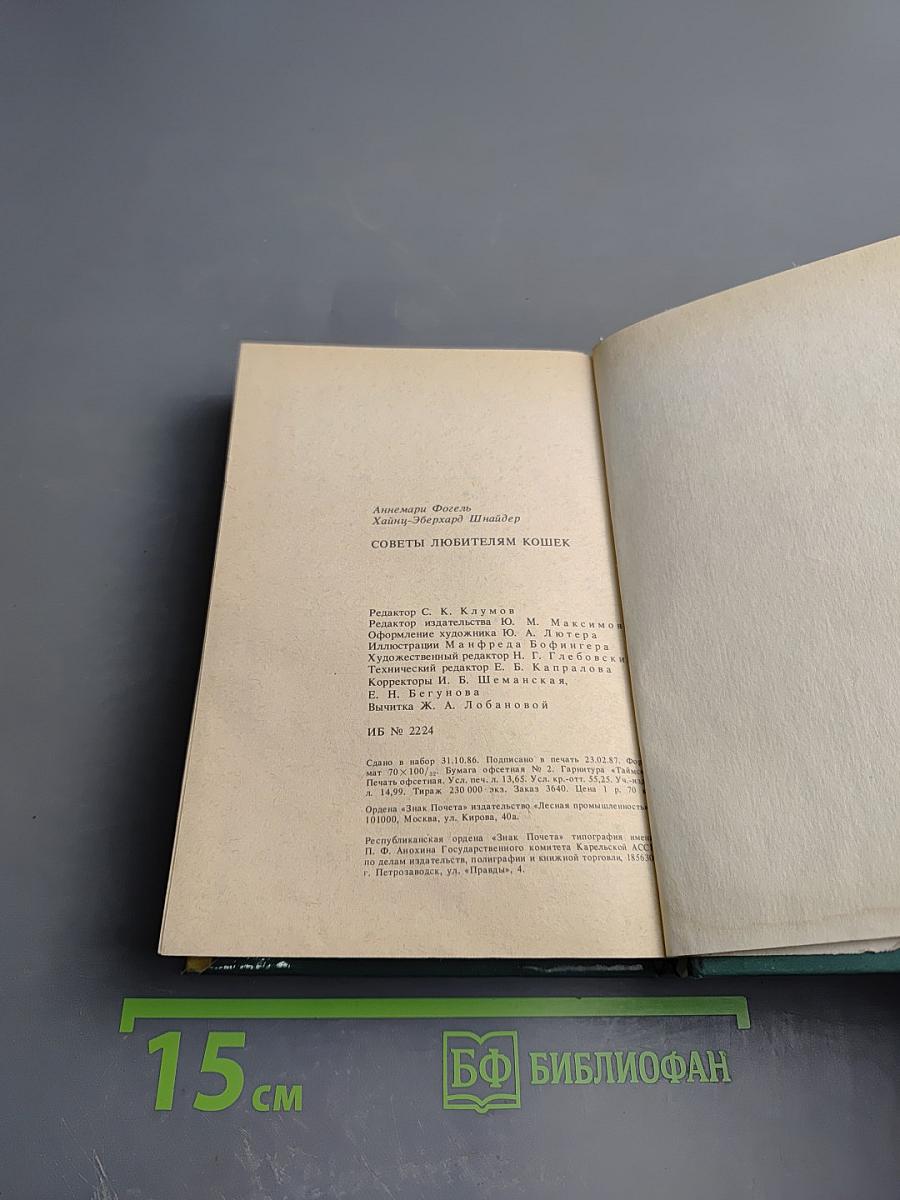 Советы любителям кошек