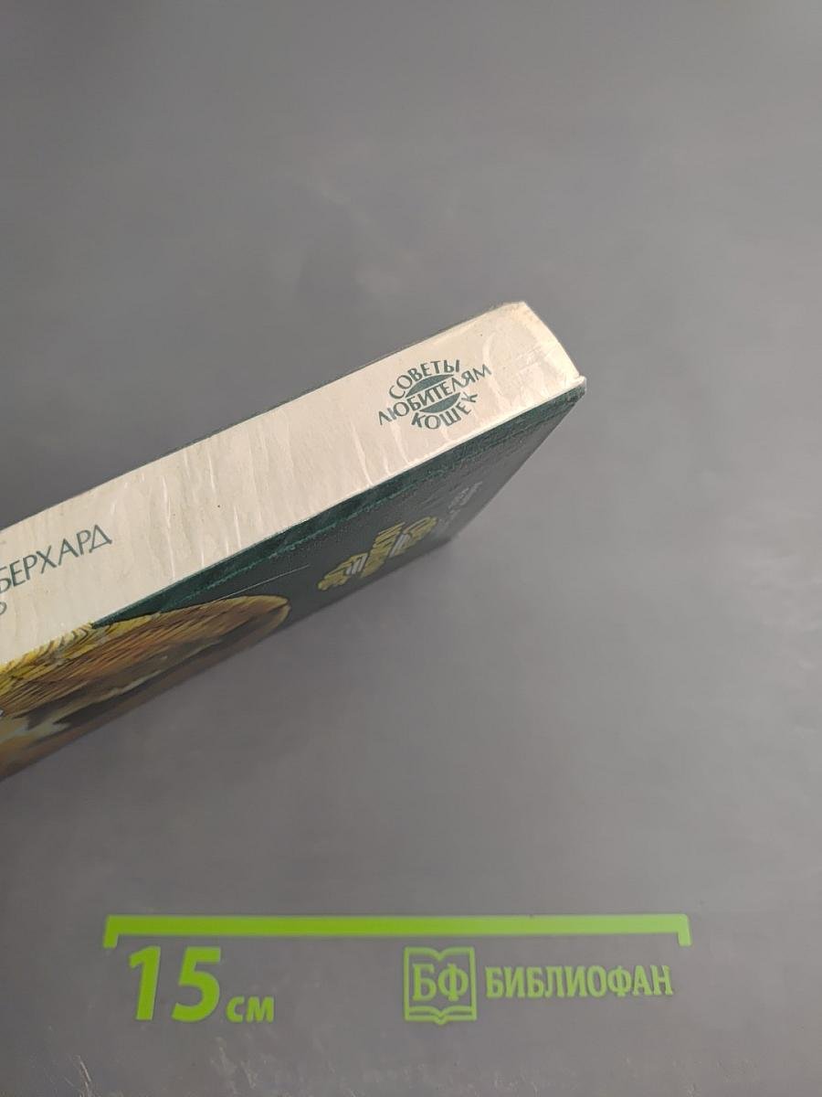 Советы любителям кошек