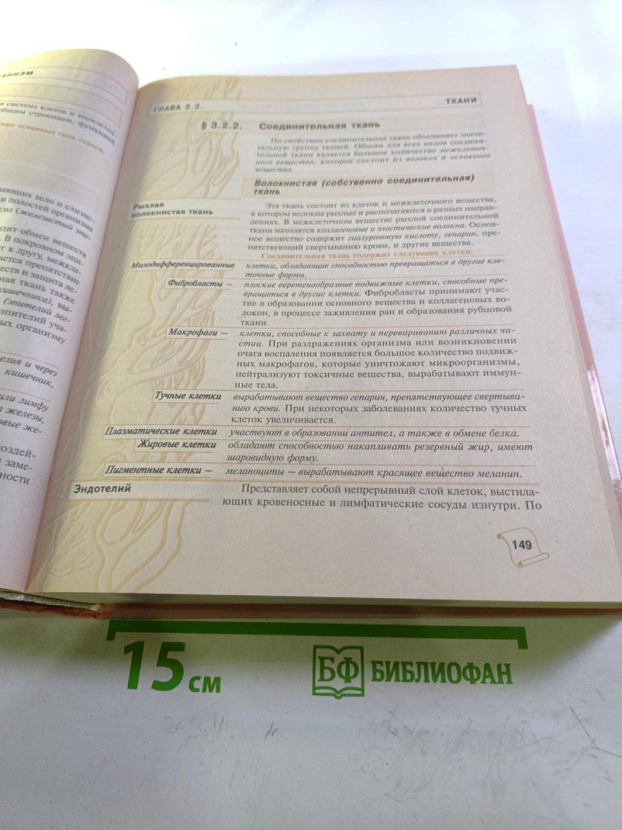 Жизнь и Здоровье Женщины. Том 1