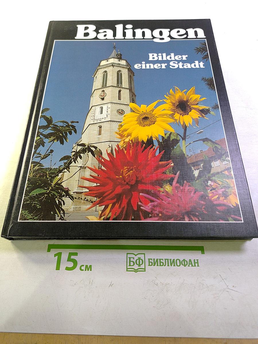 Balingen Bilder einer Stadt