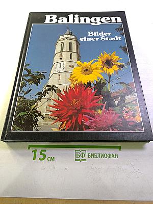Balingen Bilder einer Stadt