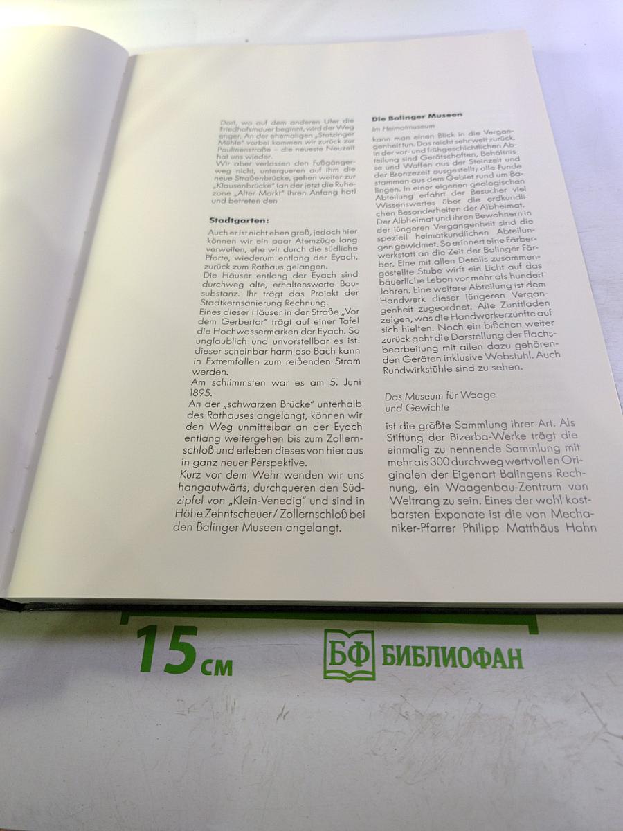 Balingen Bilder einer Stadt