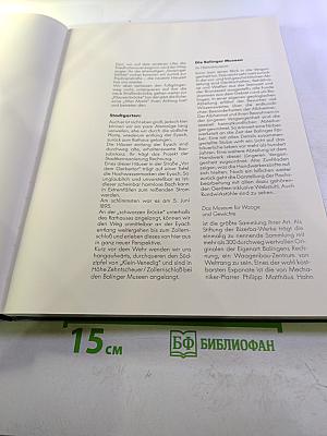 Balingen Bilder einer Stadt