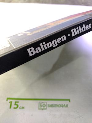 Balingen Bilder einer Stadt