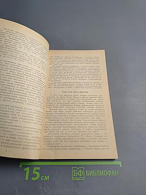 Куда ведет Аллея сфинксов