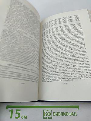 Письма. Том пятый. 1862-1865