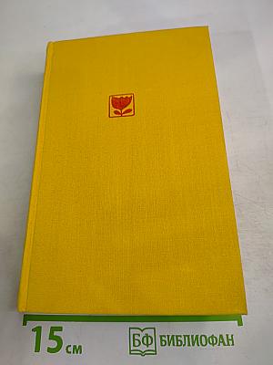 Ordeal. Book 2. Bleak Morning