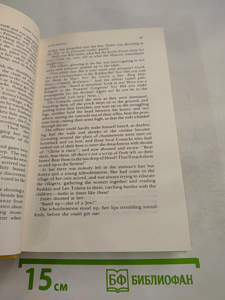 Ordeal. Book 2. Bleak Morning