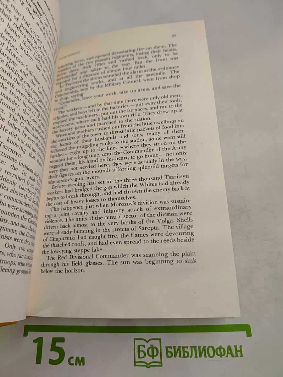 Ordeal. Book 2. Bleak Morning