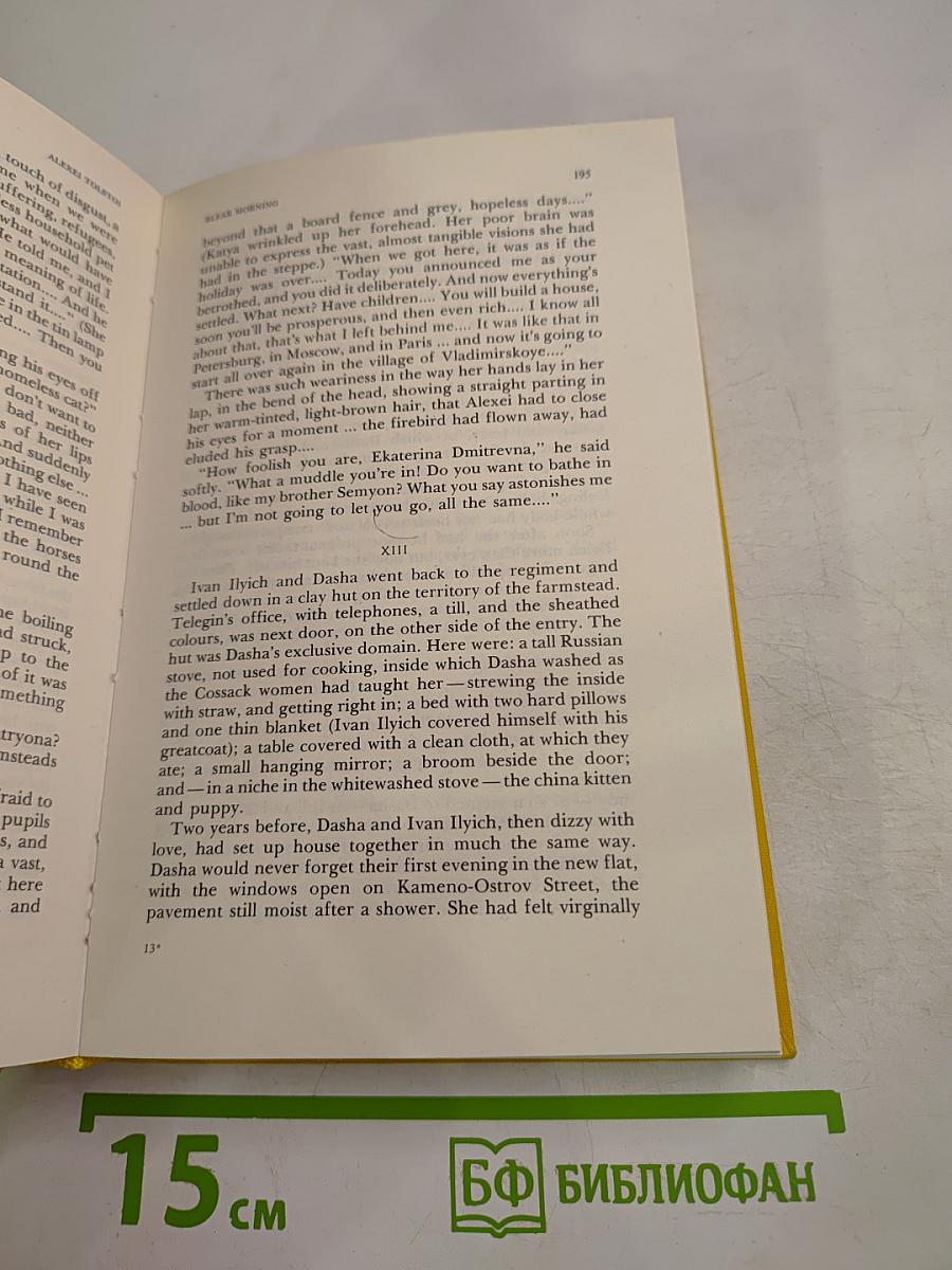 Ordeal. Book 2. Bleak Morning