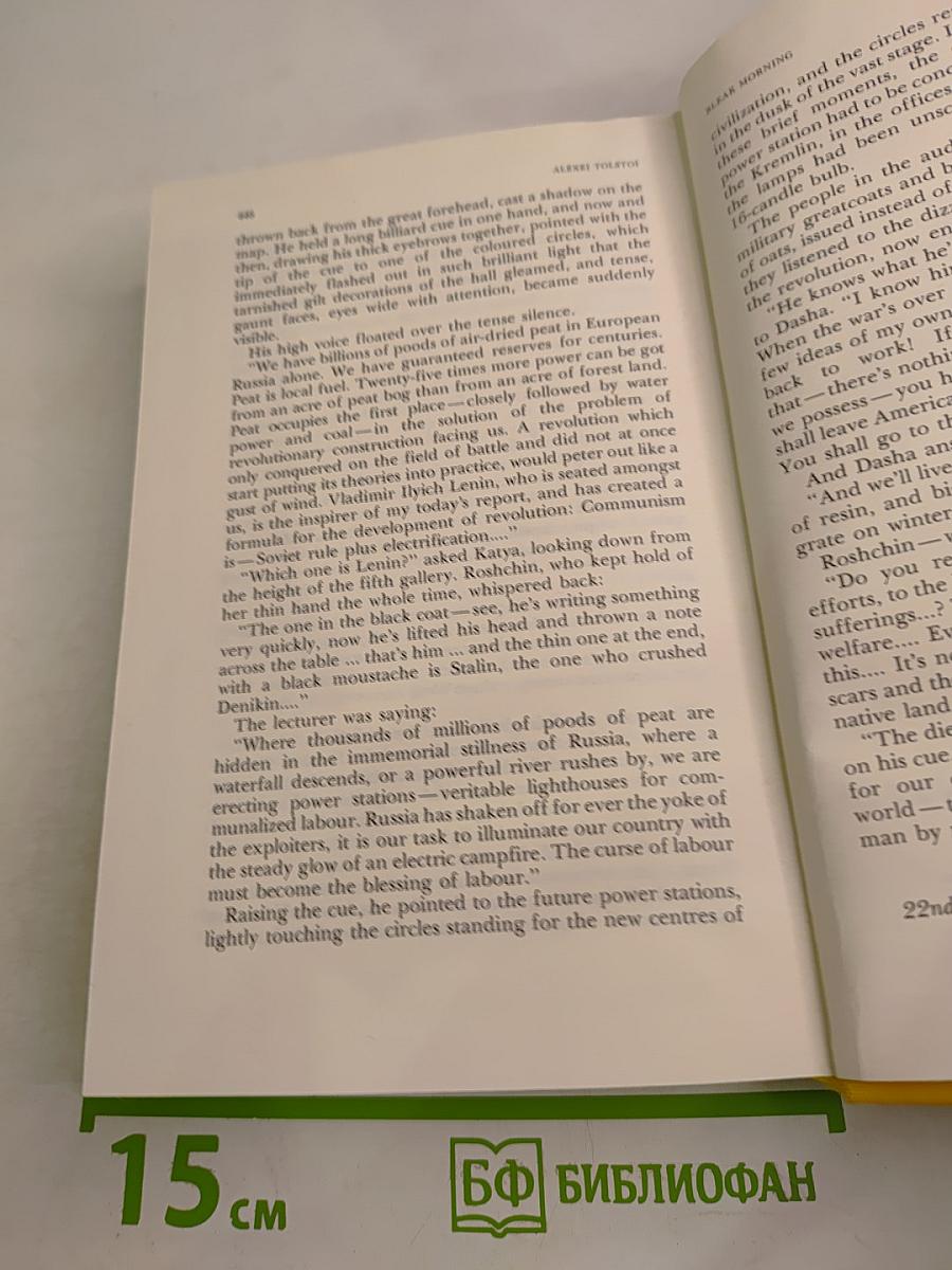 Ordeal. Book 2. Bleak Morning