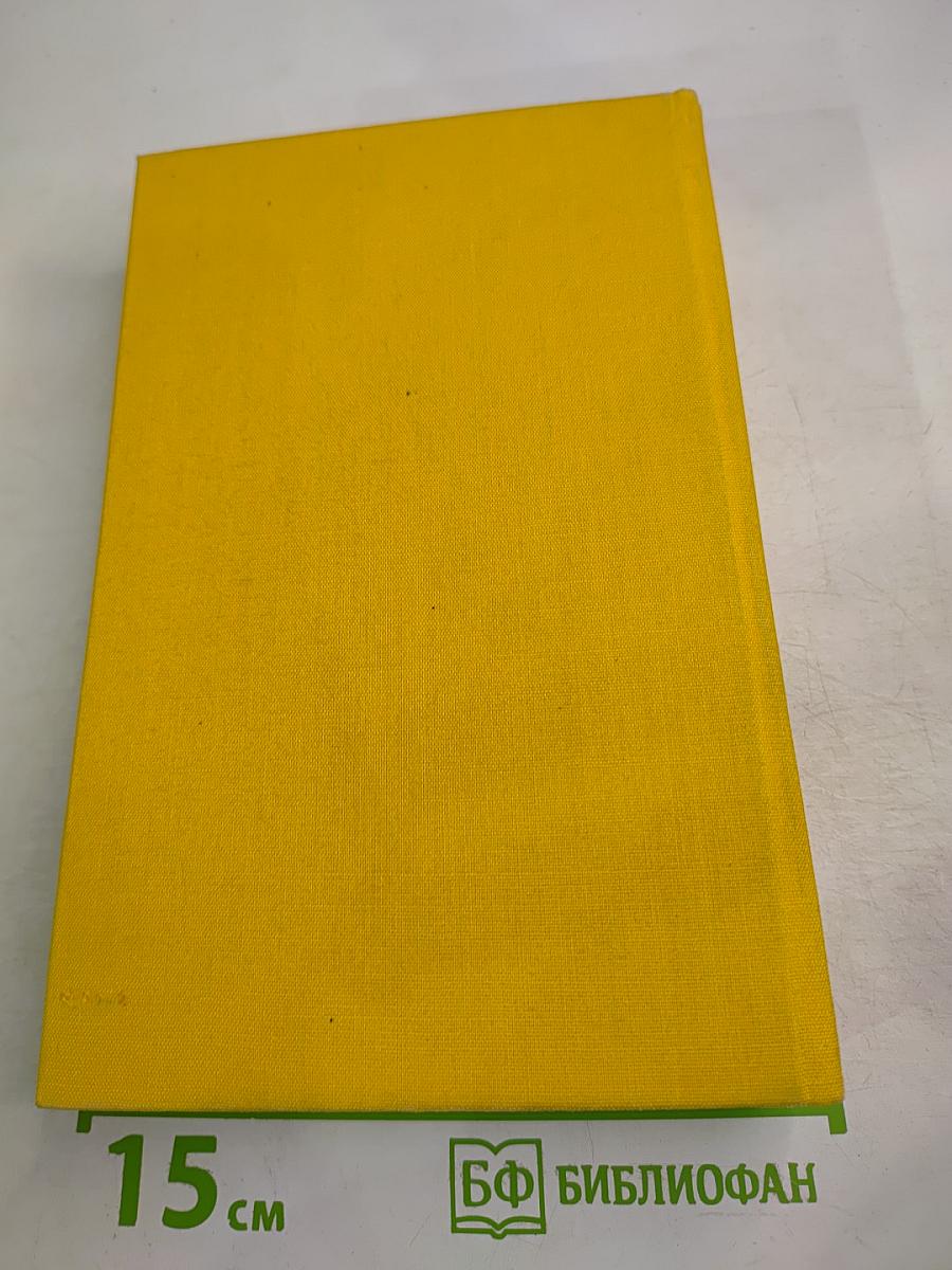 Ordeal. Book 2. Bleak Morning