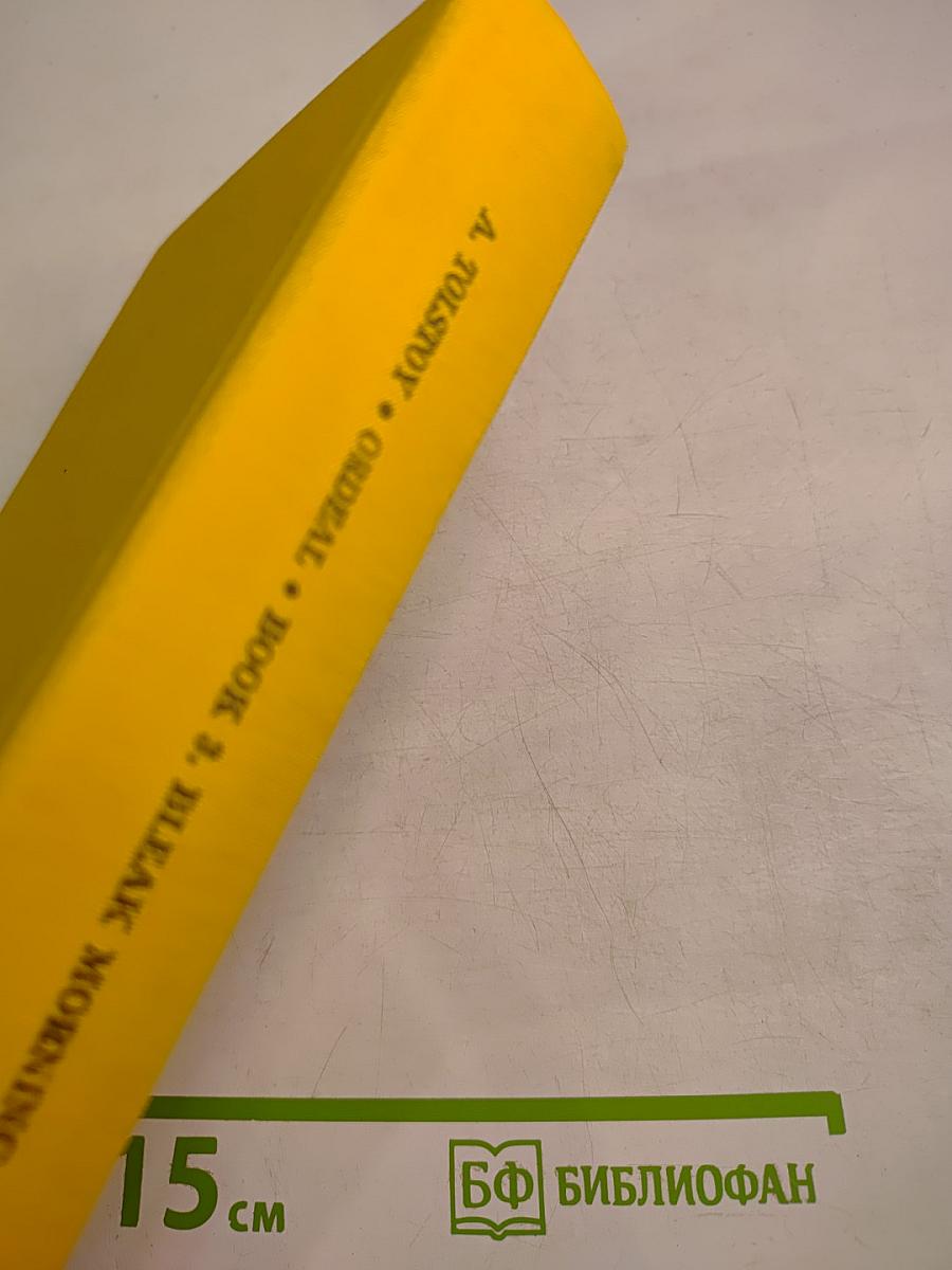 Ordeal. Book 2. Bleak Morning