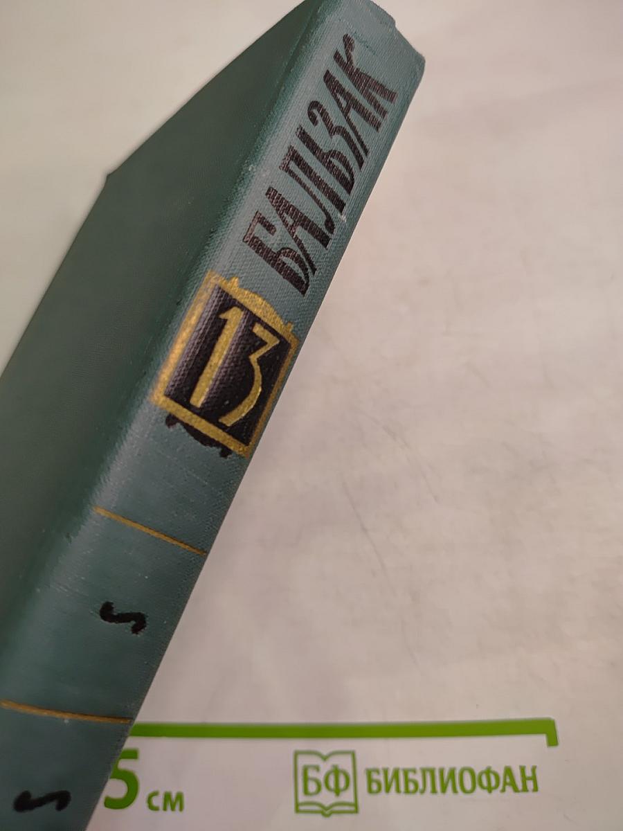 Собрание сочинений в 24 томах. Том 13. Человеческая комедия