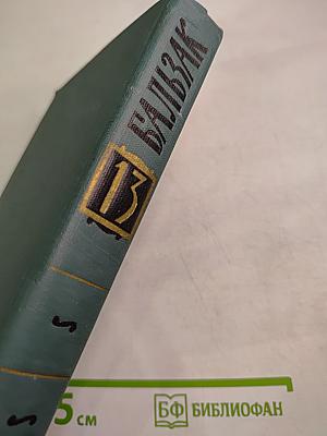 Собрание сочинений в 24 томах. Том 13. Человеческая комедия