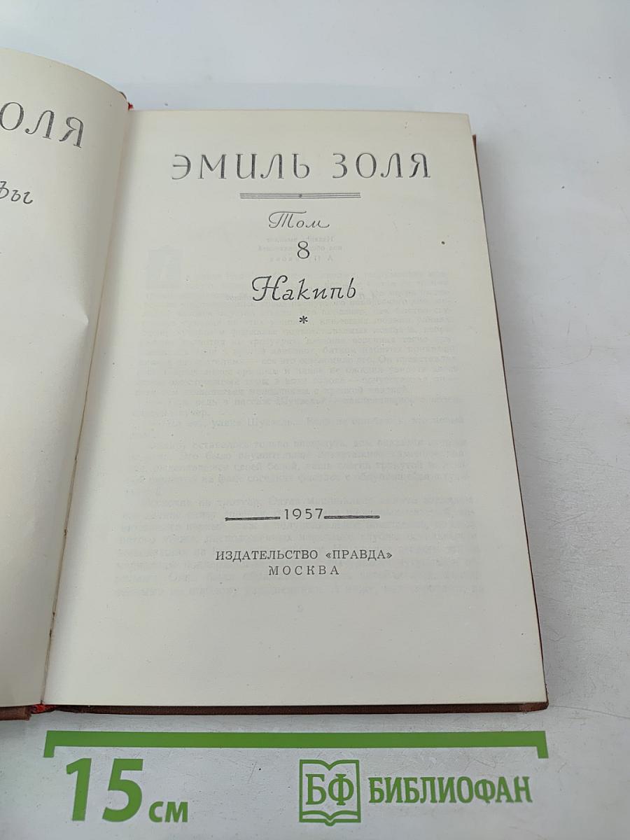 Собрание сочинений в 18 томах. Том 8. Накипь