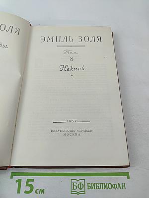 Собрание сочинений в 18 томах. Том 8. Накипь