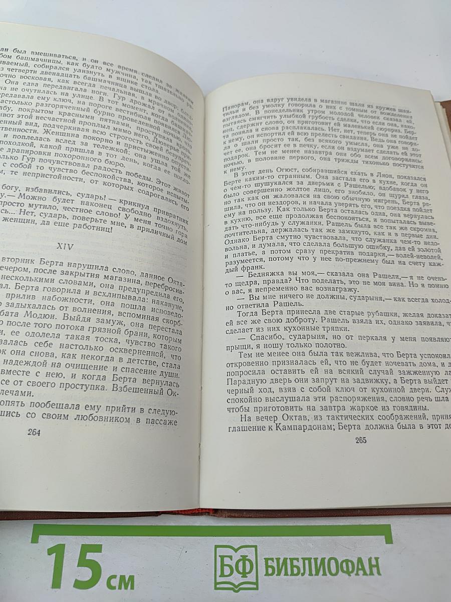 Собрание сочинений в 18 томах. Том 8. Накипь