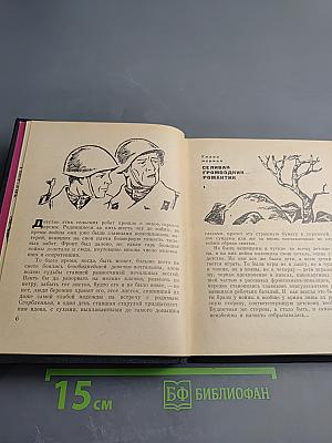 Наследники. Дивизионка