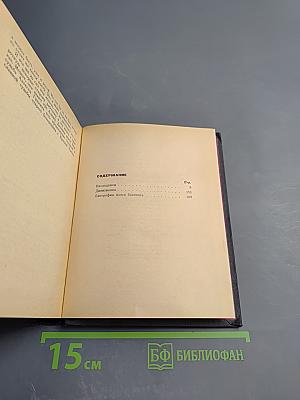 Наследники. Дивизионка