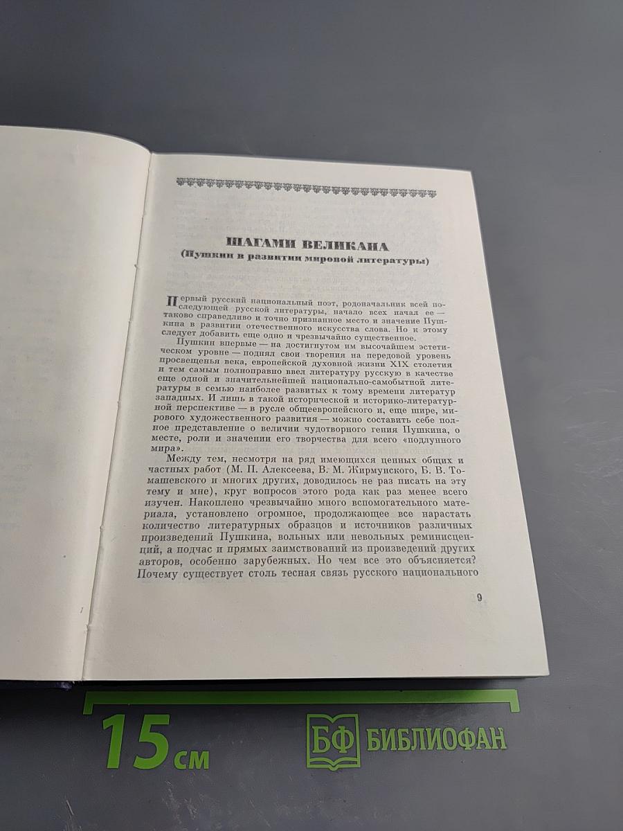 Душа в заветной лире. Очерки жизни и творчества Пушкина