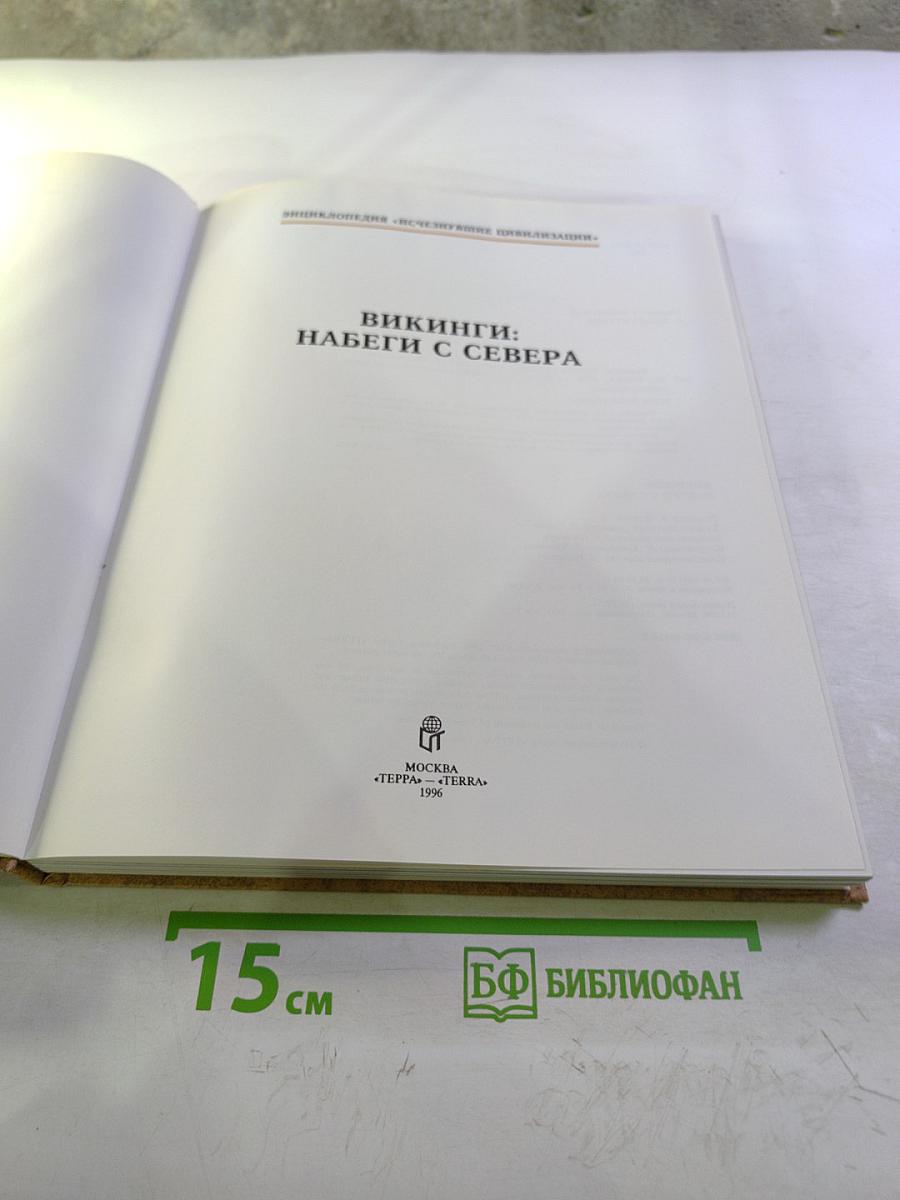 Викинги: Набеги с Севера