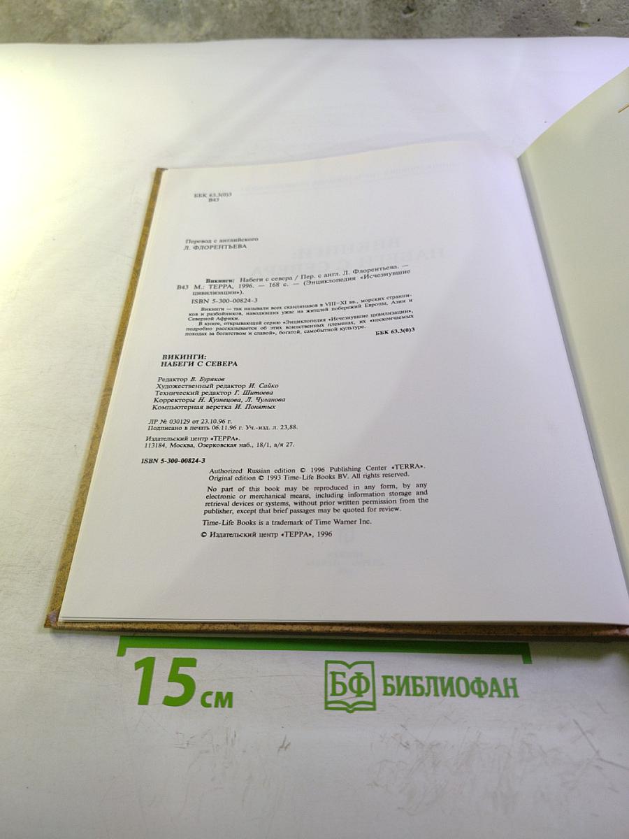 Викинги: Набеги с Севера