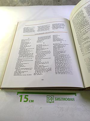 Викинги: Набеги с Севера