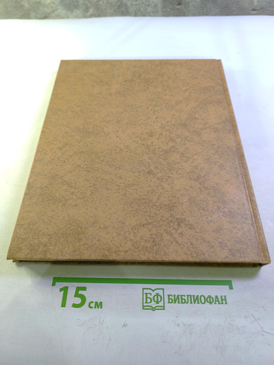 Викинги: Набеги с Севера