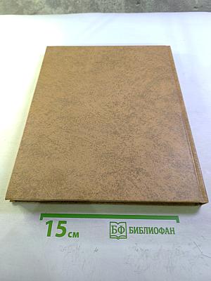 Викинги: Набеги с Севера