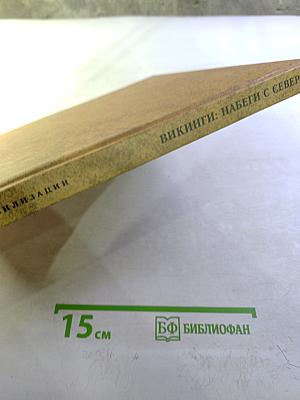 Викинги: Набеги с Севера