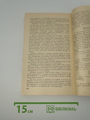 Зеленые звезды