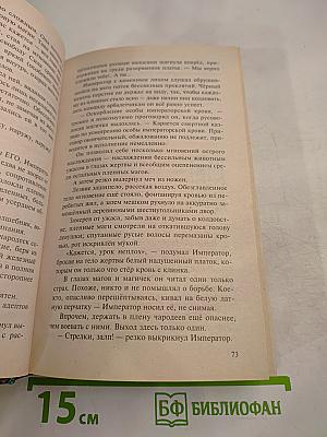 Алмазный Меч, Деревянный Меч. Книга Вторая