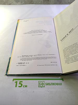 Калейдоскоп семейного досуга