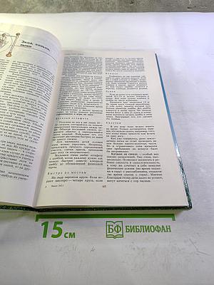 Калейдоскоп семейного досуга