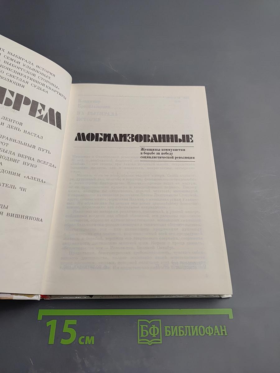 Октябрем мобилизованные. Женщины-коммунистки в борьбе за победу социалистической революции