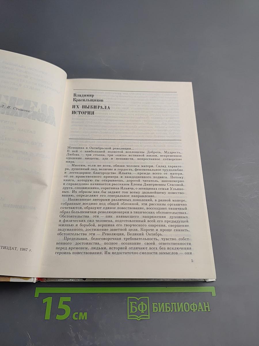 Октябрем мобилизованные. Женщины-коммунистки в борьбе за победу социалистической революции