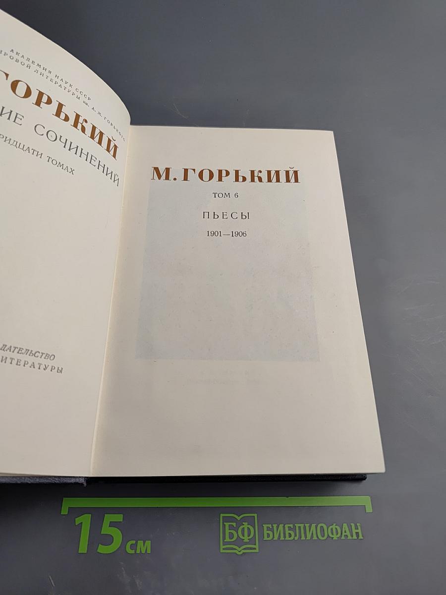 Пьесы. 1901–1906. Том 6