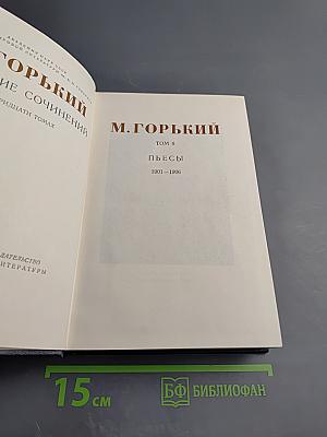 Пьесы. 1901–1906. Том 6