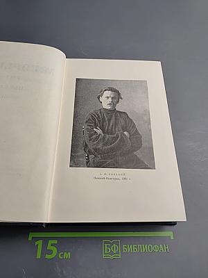 Пьесы. 1901–1906. Том 6