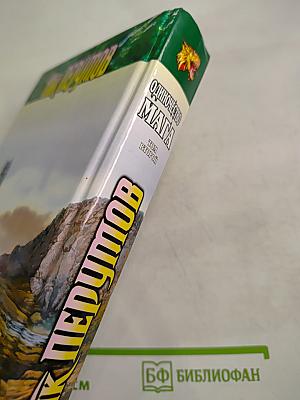 Одиночество Мага. Том второй