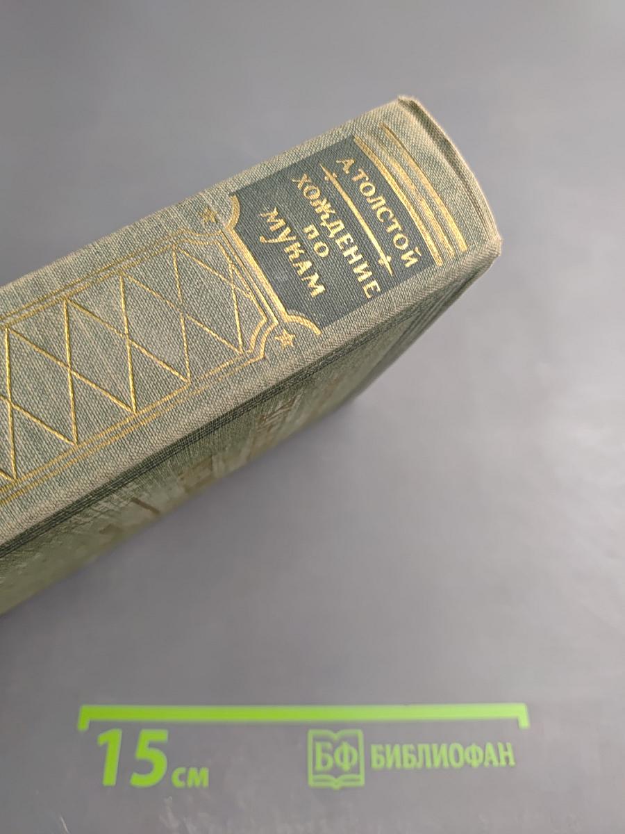 Хождение по мукам. Трилогия. Книги первая и вторая: Сёстры, Восемнадцатый год