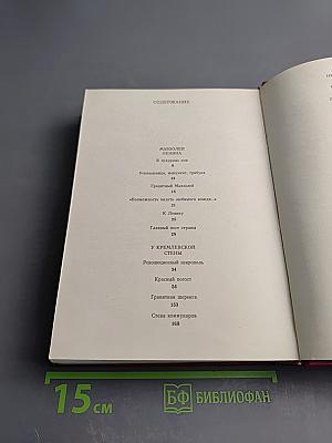 У Кремлевской стены