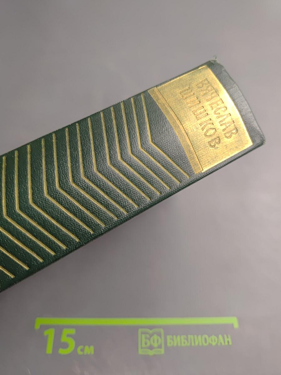 Собрание сочинений. Том шестой. Емельян Пугачев. Книга первая