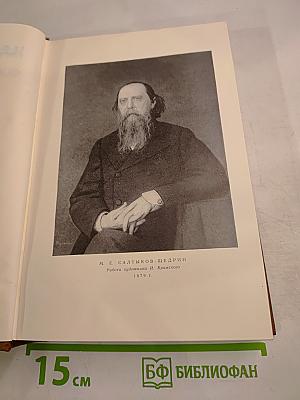 Собрание сочинений. Том одиннадцатый: Благонамеренные речи (1872-1876)