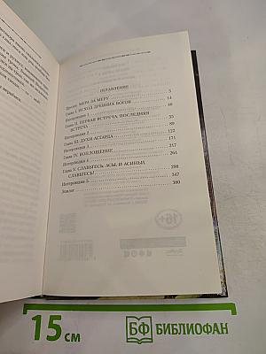 Гибель Богов-2: Книга четвертая. Асгард Возрождённый