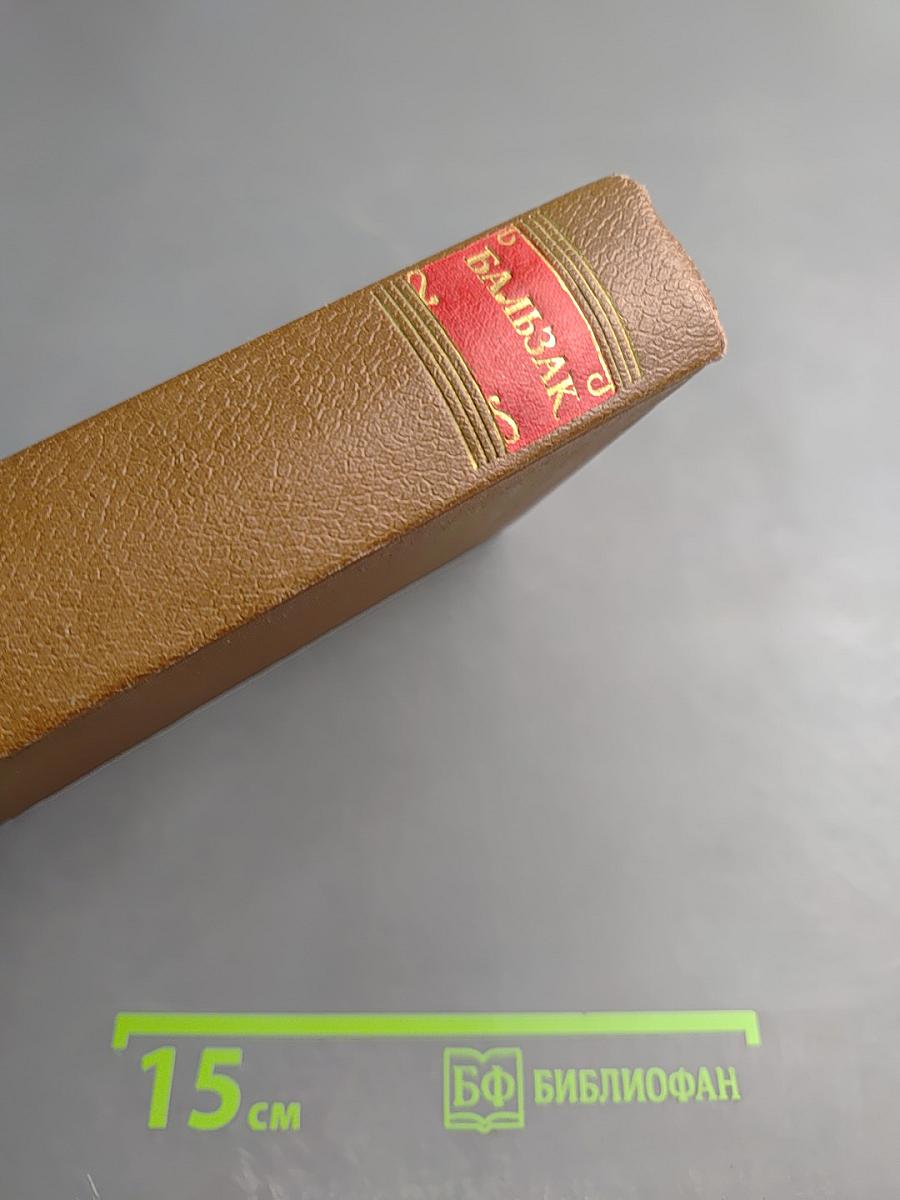 Человеческая комедия. Очерки парижской жизни. Том 8