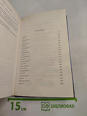 Гибель Богов-2. Книга третья. Пепел Асгарда
