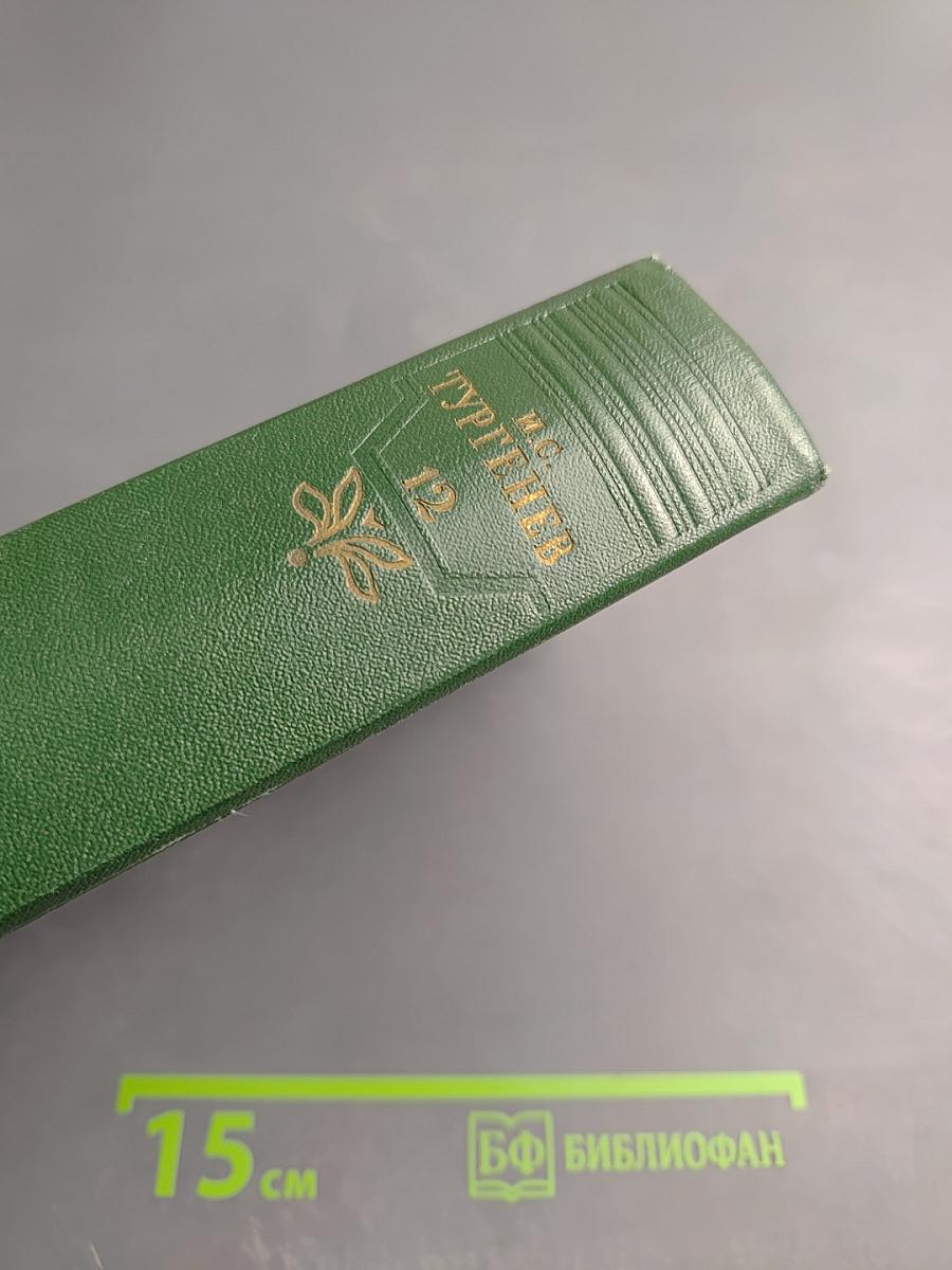 Собрание сочинений. Том двенадцатый. Письма 1831-1883