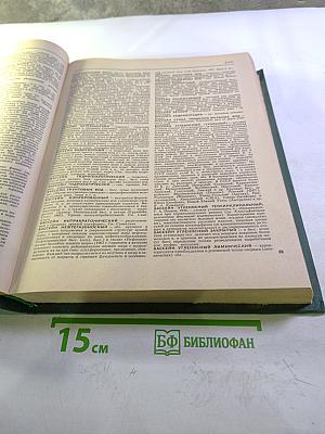 Геологический словарь. Том первый А-М